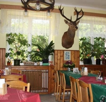 Kyselka  Hotel A Restaurace Na Spici מראה חיצוני תמונה